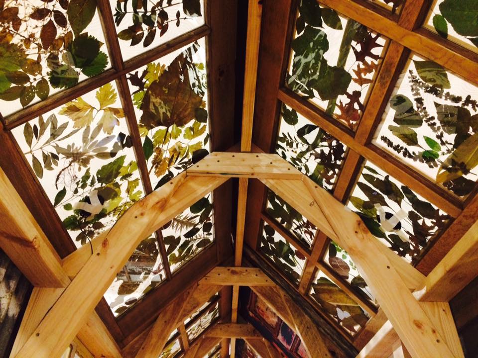 A square image of the ceiling of a wooden structure with double pane glass. In between the panes are different types of leaves